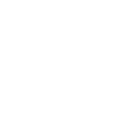 Panacea Fan icon